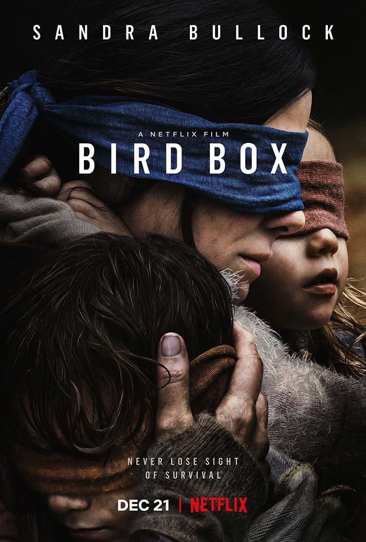 5 películas en Netflix donde el COLOR juega un papel importante, blog de fotografía, aqueblog, birdbox